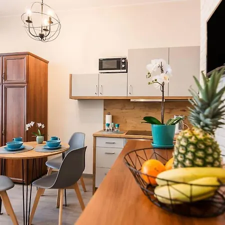 Przytulne Studio W Centrum Starego Miasta Apartment Bromberg
